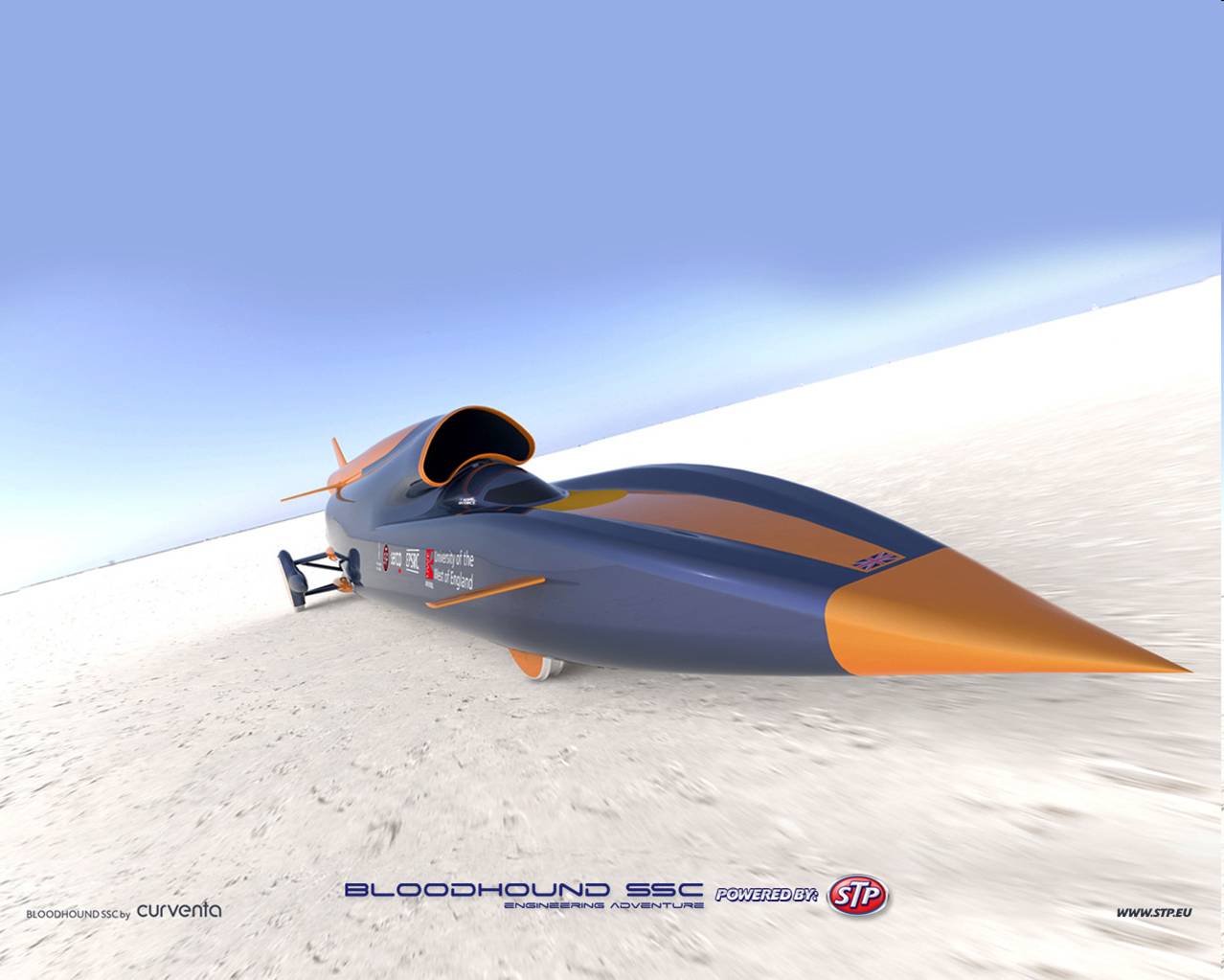 Bloodhound